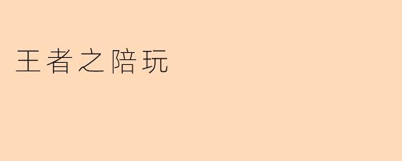 王者之陪玩