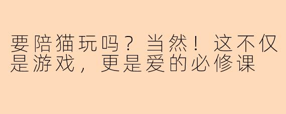 要陪猫玩吗？当然！这不仅是游戏，更是爱的必修课