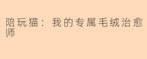 陪玩猫:我的专属毛绒治愈师