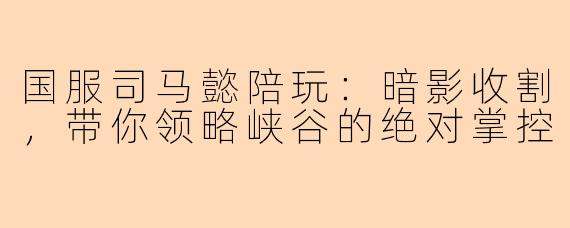 国服司马懿陪玩：暗影收割，带你领略峡谷的绝对掌控