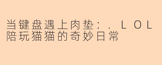 当键盘遇上肉垫：.LOL陪玩猫猫的奇妙日常