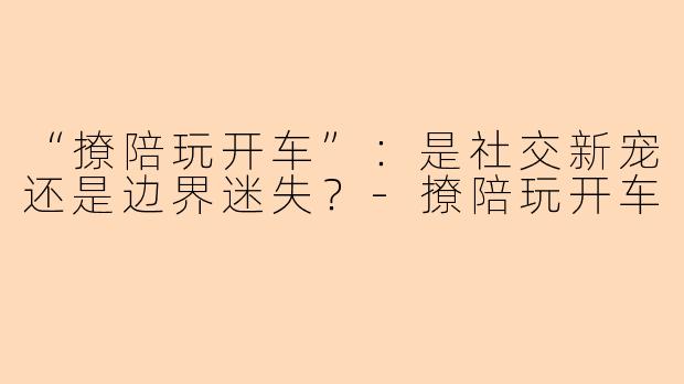 “撩陪玩开车”：是社交新宠还是边界迷失？-撩陪玩开车