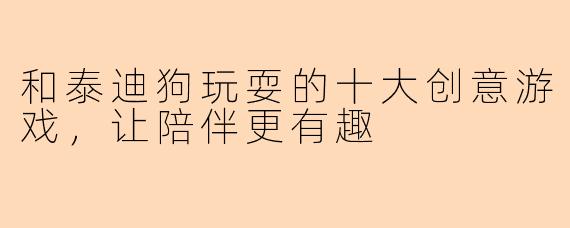 和泰迪狗玩耍的十大创意游戏,让陪伴更有趣
