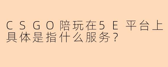 CSGO陪玩在5E平台上具体是指什么服务？