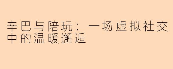 辛巴与陪玩：一场虚拟社交中的温暖邂逅