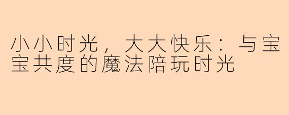 小小时光，大大快乐：与宝宝共度的魔法陪玩时光