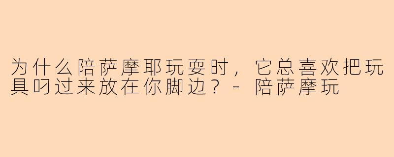 为什么陪萨摩耶玩耍时，它总喜欢把玩具叼过来放在你脚边？