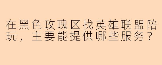 在黑色玫瑰区找英雄联盟陪玩，主要能提供哪些服务？