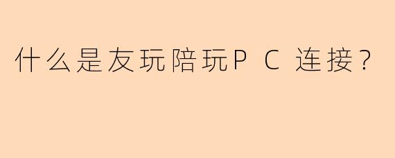 什么是友玩陪玩PC连接?