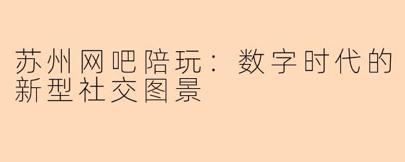 苏州网吧陪玩：数字时代的新型社交图景