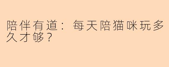 陪伴有道:每天陪猫咪玩多久才够?