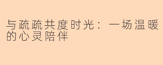 与疏疏共度时光：一场温暖的心灵陪伴