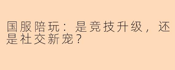 国服陪玩:是竞技升级,还是社交新宠?