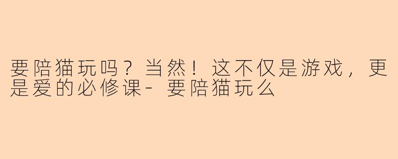 要陪猫玩吗？当然！这不仅是游戏，更是爱的必修课-要陪猫玩么