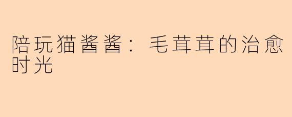 陪玩猫酱酱：毛茸茸的治愈时光