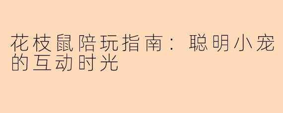 花枝鼠陪玩指南：聪明小宠的互动时光