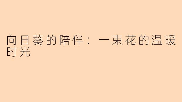 向日葵的陪伴:一束花的温暖时光