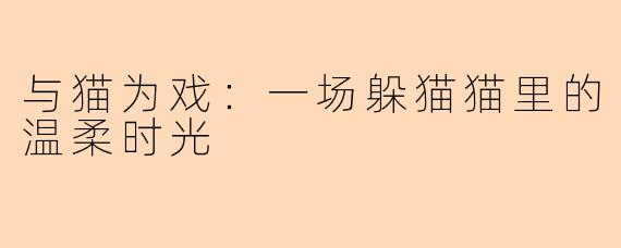 与猫为戏:一场躲猫猫里的温柔时光