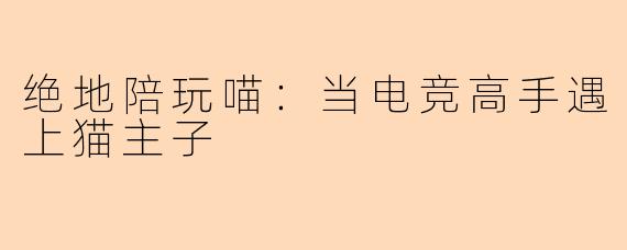 绝地陪玩喵：当电竞高手遇上猫主子