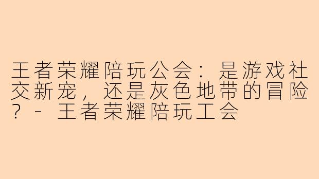 王者荣耀陪玩公会：是游戏社交新宠，还是灰色地带的冒险？-王者荣耀陪玩工会