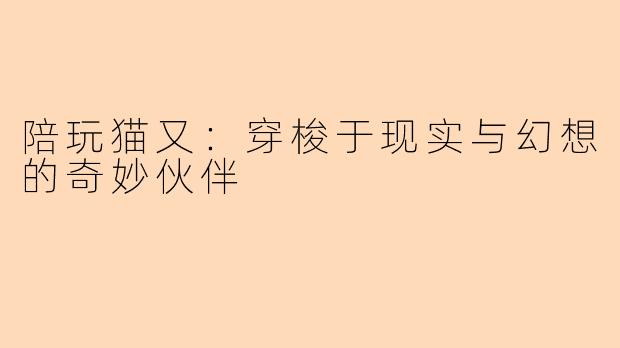 陪玩猫又:穿梭于现实与幻想的奇妙伙伴