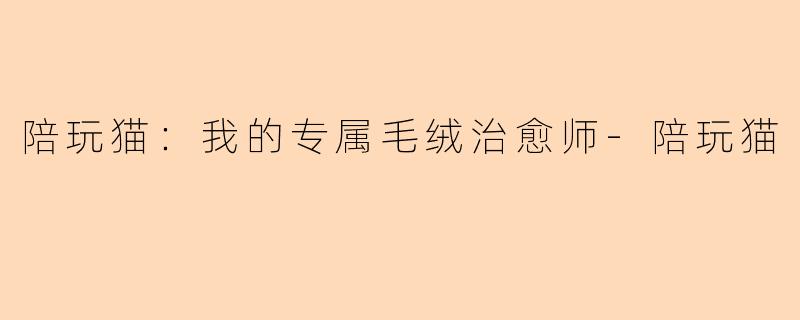 陪玩猫:我的专属毛绒治愈师-陪玩猫