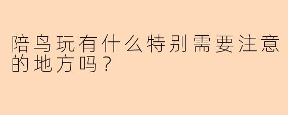 陪鸟玩有什么特别需要注意的地方吗?