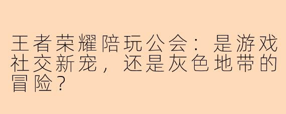王者荣耀陪玩公会：是游戏社交新宠，还是灰色地带的冒险？
