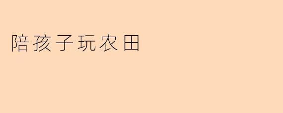 陪孩子玩农田