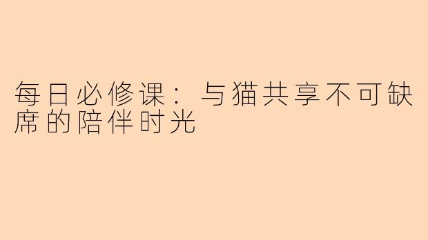 每日必修课：与猫共享不可缺席的陪伴时光