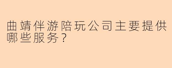 曲靖伴游陪玩公司主要提供哪些服务？