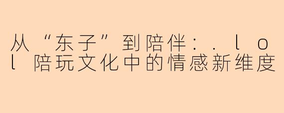从“东子”到陪伴：.lol陪玩文化中的情感新维度
