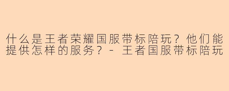 什么是王者荣耀国服带标陪玩?他们能提供怎样的服务?-王者国服带标陪玩