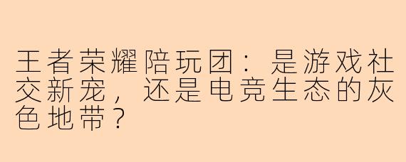 王者荣耀陪玩团:是游戏社交新宠,还是电竞生态的灰色地带?