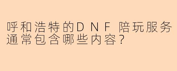 呼和浩特的DNF陪玩服务通常包含哪些内容？