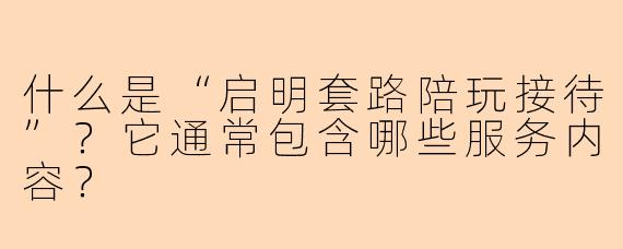 什么是“启明套路陪玩接待”？它通常包含哪些服务内容？