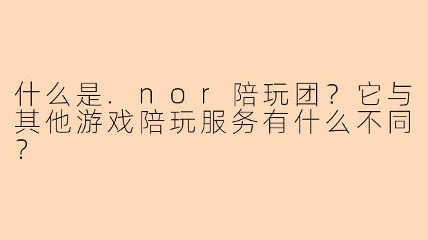 什么是.nor陪玩团？它与其他游戏陪玩服务有什么不同？