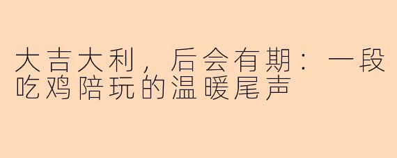 大吉大利,后会有期:一段吃鸡陪玩的温暖尾声