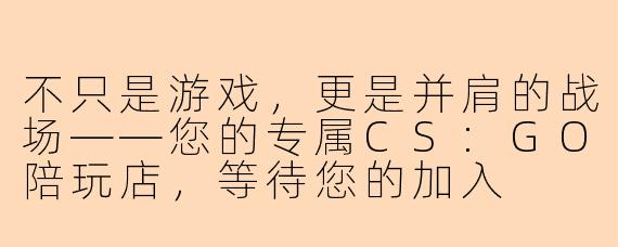 不只是游戏,更是并肩的战场——您的专属CS:GO陪玩店,等待您的加入