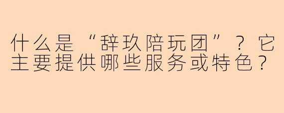 什么是“辞玖陪玩团”?它主要提供哪些服务或特色?