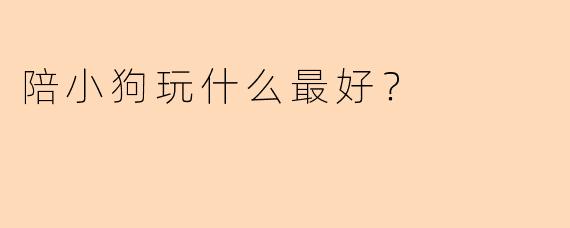 陪小狗玩什么最好？