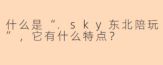 什么是“.sky东北陪玩”，它有什么特点？