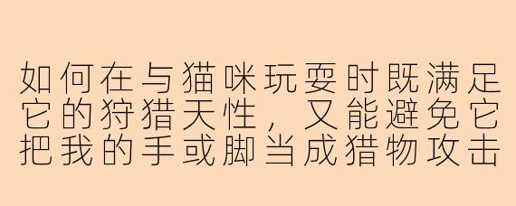 如何在与猫咪玩耍时既满足它的狩猎天性，又能避免它把我的手或脚当成猎物攻击？