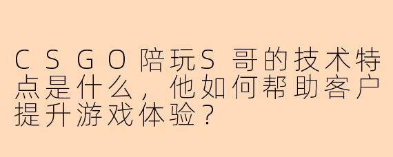CSGO陪玩S哥的技术特点是什么,他如何帮助客户提升游戏体验?