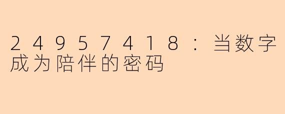 24957418：当数字成为陪伴的密码