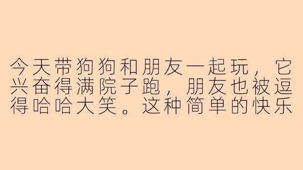 今天带狗狗和朋友一起玩，它兴奋得满院子跑，朋友也被逗得哈哈大笑。这种简单的快乐，是不是生活里最治愈的瞬间？-陪狗狗陪朋友玩的说说