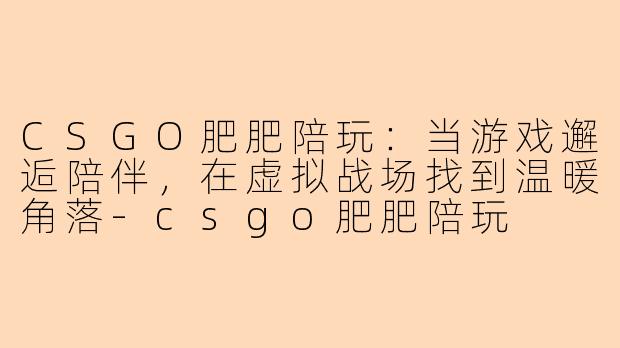 CSGO肥肥陪玩：当游戏邂逅陪伴，在虚拟战场找到温暖角落