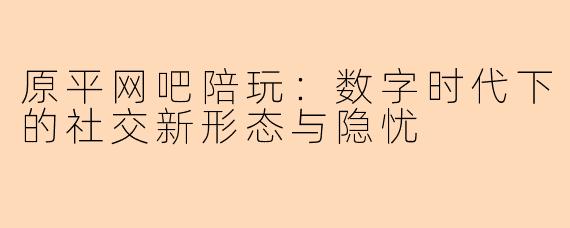 原平网吧陪玩：数字时代下的社交新形态与隐忧