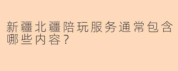 新疆北疆陪玩服务通常包含哪些内容?