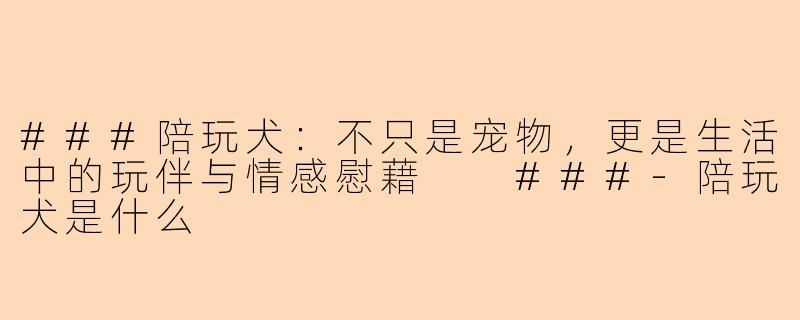 ###陪玩犬：不只是宠物，更是生活中的玩伴与情感慰藉

###-陪玩犬是什么